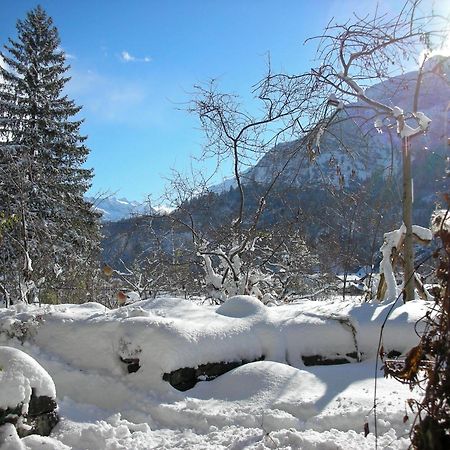 Dunkel Blaue Maus Bed and Breakfast Meiringen Eksteriør billede