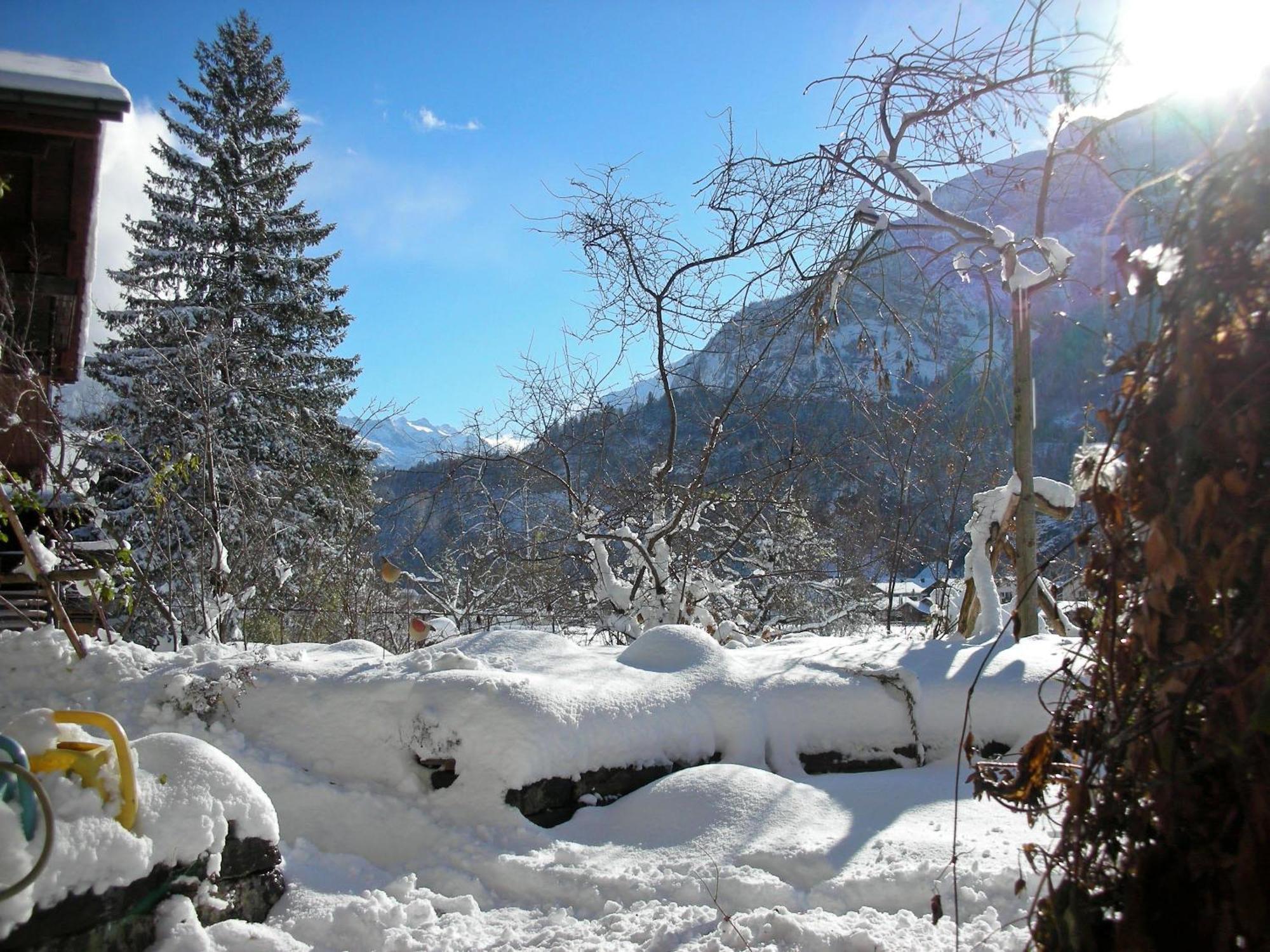 Dunkel Blaue Maus Bed and Breakfast Meiringen Eksteriør billede