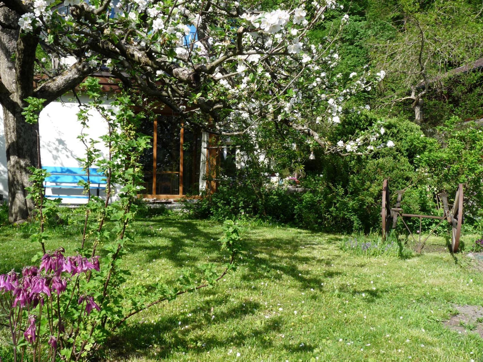 Dunkel Blaue Maus Bed and Breakfast Meiringen Eksteriør billede