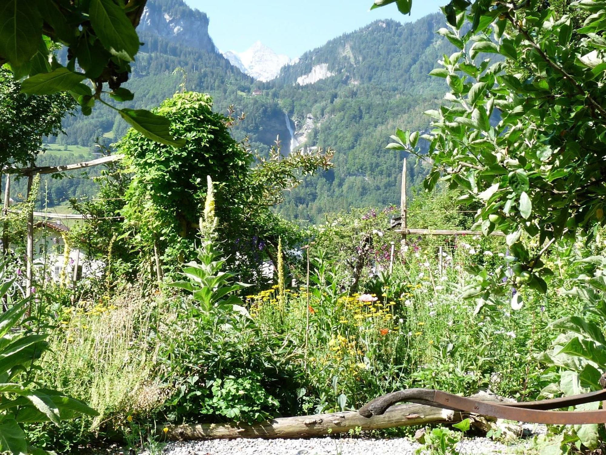 Dunkel Blaue Maus Bed and Breakfast Meiringen Eksteriør billede