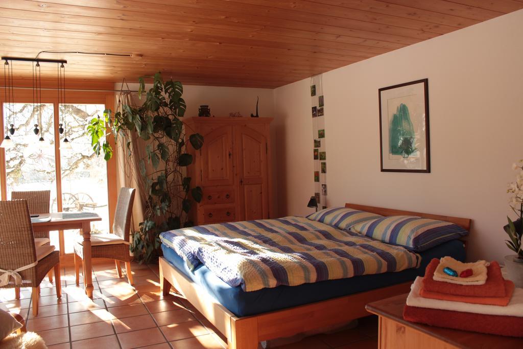 Dunkel Blaue Maus Bed and Breakfast Meiringen Eksteriør billede